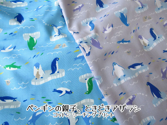 コットンシーチングプリント】 ペンギンの親子、ときどきアザラシ