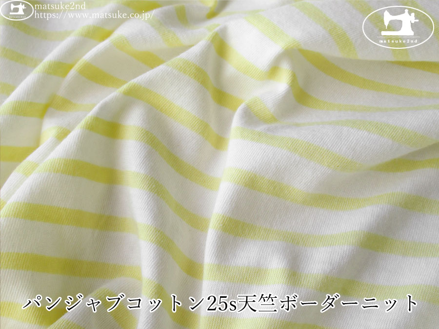 アパレル使用反】 パンジャブコットン25s天竺ボーダーニット オフ  