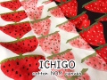 コットン 10番キャンバス 】 ICHIGO＊いちご